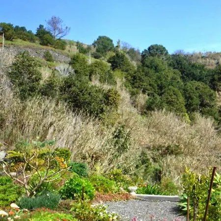 Semesterbostad Raposeira De Sao Joao, The Feeling Of Peace, Space And Quiet, Whole Is Yours Fajã da Ovelha