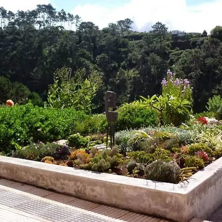 Raposeira De Sao Joao, The Feeling Of Peace, Space And Quiet, Whole Is Yours Nyaraló