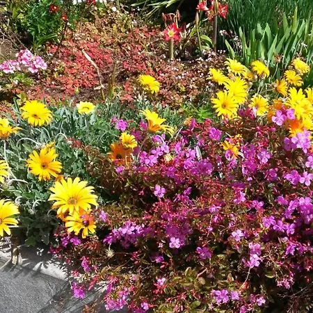 Raposeira De Sao Joao, The Feeling Of Peace, Space And Quiet, Whole Is Yours Фажан-да-Овель