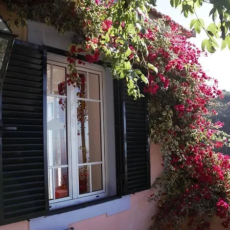 Hébergement de vacances Raposeira De Sao Joao, The Feeling Of Peace, Space And Quiet, Whole Is Yours *