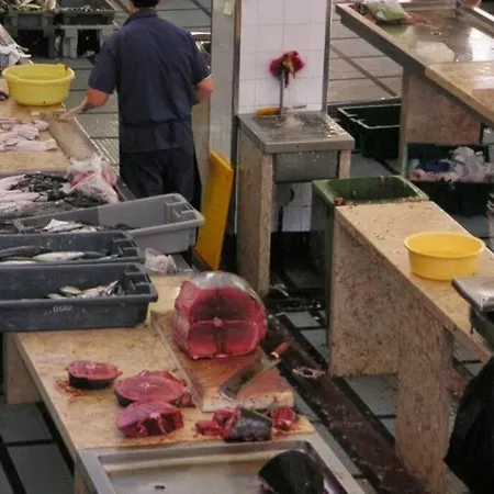 Raposeira De Sao Joao, The Feeling Of Peace, Space And Quiet, Whole Is Yours *