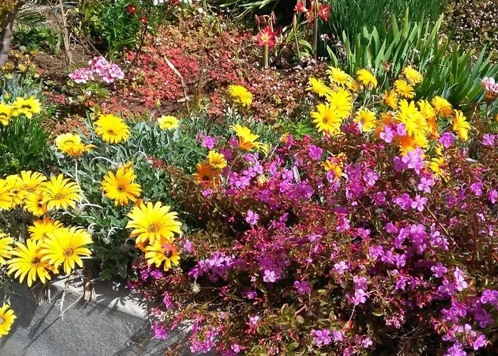 Raposeira De Sao Joao, The Feeling Of Peace, Space And Quiet, Whole Is Yours ファハ・ダ・オヴェルハ