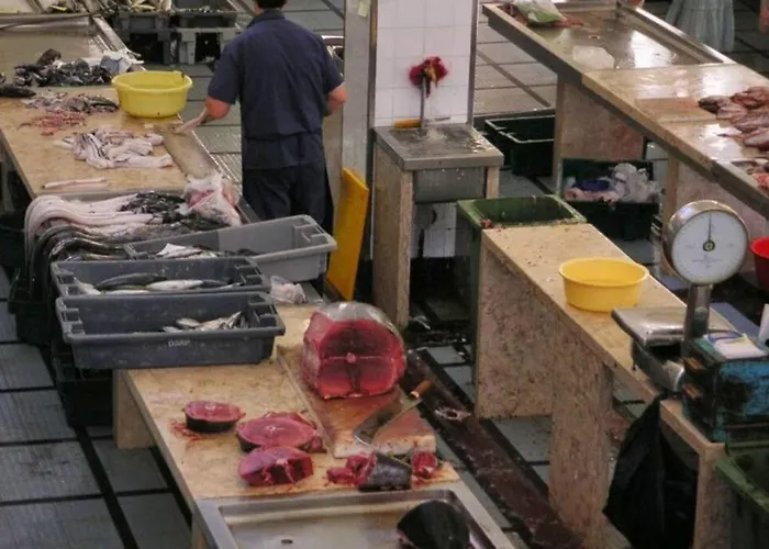 Raposeira De Sao Joao, The Feeling Of Peace, Space And Quiet, Whole Is Yours *